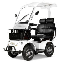 AT MOTORS E100