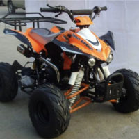 Квадроцикл FX-ATV-013-1 (110CC)
