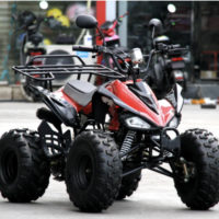 Квадроцикл FX-ATV-014-2 (110CC)