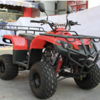 Квадроцикл FX-ATV-020-2 (110CC)