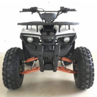 Квадроцикл FX-ATV-TT003 (125CC)