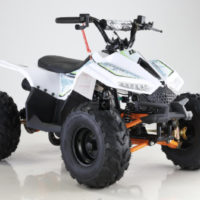 Квадроцикл FX-ATV-TT005 (110CC)
