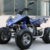 Квадроцикл FX-ATV-004-2 (250сс)